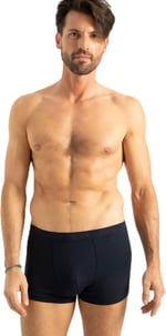 Erkek Antrasit Bambu Boxer Külot