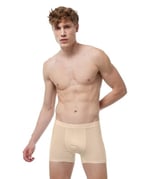 Erkek Pamuk Elastan Boxer 075