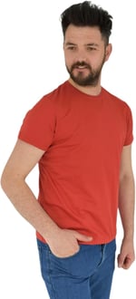 Erkek Sıfır Yaka Tişört Penye BGL-ST02799