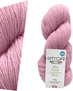 Etrofil Blue Faced Leicester Wool Burnt Orange 72132