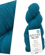 Etrofil Blue Faced Leicester Wool Burnt Orange 72132