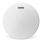 Evans B16G2 16 Inc Kumlu Tom Derisi