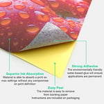 Evergreen Goods™ 100 Yaprak A4 Mat Beyaz Kendinden Yapışkanlı Çıkartma Kağıdı | Mürekkep Püskürtmeli ve Lazer Yazdırılabilir Etiket | Kendi Çıkartmalarınızı, Sanat ve El Sanatlarınızı, Kesici Çizicini