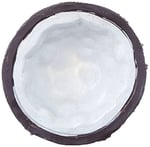 Exo Terra Ex Coconut Su Kabı Water Dish
