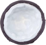 Exo Terra Ex Coconut Su Kabı Water Dish