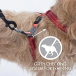 EzyDog Çekme önleyici köpek tasması – Crosscheck köpek koşum takımı, küçük, orta boy ve büyük köpekler için, köpek eğitim aksesuarı, yansıtıcı - Seçenekler: S (36 - 49cm), M (45 - 64cm), L (55 - 74cm)
