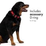Ezydog Collar Double Up Medium Köpek Boyun Tasması Kırmızı