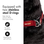 Ezydog Collar Double Up Medium Köpek Boyun Tasması Kırmızı