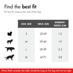 Ezydog Collar Double Up Medium Köpek Boyun Tasması Kırmızı