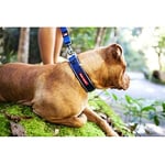 Ezydog Neo Classic Boyun Tasması Xsmall Candy