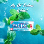 Falım 5'li Işıl Karbonat ve Nane Aromalı Şekersiz Sakız 40 gr