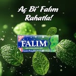 Falım 5'li Nane Aromalı Şekersiz Sakız 35 gr