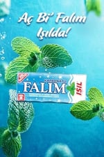 Falım Işıl Nane Aromalı Sakız 8 gr 20 Adet