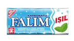 Falım Işıl Nane Aromalı Sakız 8 gr 20 Adet