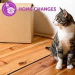 FELIWAY Classic 30 günlük feromon buharlaştırıcı başlangıç seti, 48 ml – kedi ve yavru kedilerde stres belirtilerini azaltmaya yardımcı olur, veterinerler tarafından tavsiye edilir, klinik olarak test