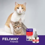 FELIWAY Friends Yedek Şişe 48 ml