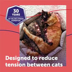 FELIWAY MultiCat Sakinleştirici Feromon Difüzör, 30 Günlük Başlangıç Kiti (48 mL)