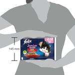 Felix Yavru Kedi Avantajlı Paket (12x4= 85gr)