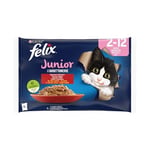 Felix Yavru Kedi Avantajlı Paket (12x4= 85gr)