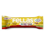Fellas Kids Meyve Bar, Muzlu ve Kakaolu, 28gr x 12 Adet - Seçenekler: 28gr, 28gr (3 paketi)