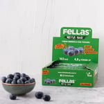 Fellas Meyve Bar, Chialı ve Yaban Mersinli, 40gr x 12 Adet