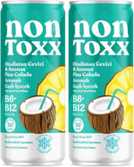 Fersan Nontoxx Hindistan Cevizi Ananas Sirkeli Gazlı İçecek 250 ml 2li paket