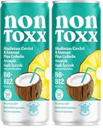 Fersan Nontoxx Hindistan Cevizi Ananas Sirkeli Gazlı İçecek 250 ml 2li paket