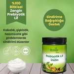 Fibrelle Prebiyotik Lif Inülin 500 gr