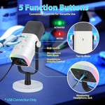FIFINE Podcast Stüdyosu Akışı için USB XLR Mikrofon, Dinamik Mikrofon Oyun Bilgisayarı, PS4/5 Mac Mixer Ses Kartları için Sessiz Düğmeli - Seçenekler: Kol mikrofonu, Mikrofon, kollu mikrofon
