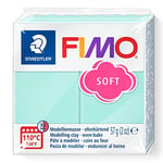 Fimo 8020-505 Fimo Effect Modelleme Kili 57 gr. Mint - Seçenekler: 57 g, 57g, 57 g (1 Pack), 454g