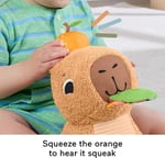 Fisher-Price 3 ay ve üzeri bebekler için Yumuşacık Obur Kapi duyusal gelişim oyuncağı, yenidoğanlar için dişlik ve çıngırak, HYR54