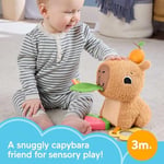 Fisher-Price 3 ay ve üzeri bebekler için Yumuşacık Obur Kapi duyusal gelişim oyuncağı, yenidoğanlar için dişlik ve çıngırak, HYR54