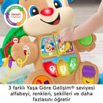 Fisher Price Eğlen & Öğren Yaşa Göre Gelişim, Eğitici Köpekçik Yürüteç (Türkçe), Aynı Zamanda Renkleri, Şekilleri, Sayıları ve D - Seçenekler: Yürüteç, Köpekçik, Köpekçik - Kız Kardeş, Oyun Konsolu...