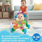 Fisher Price Eğlen & Öğren Yaşa Göre Gelişim, Eğitici Köpekçik Yürüteç (Türkçe), Aynı Zamanda Renkleri, Şekilleri, Sayıları ve D - Seçenekler: Yürüteç, Köpekçik, Köpekçik - Kız Kardeş, Oyun Konsolu...