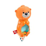 Fisher Price Eğlenceli Arkadaşlar Dişlik ve Çıngıraklar, Su Samuru FXC21