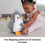 Fisher Price Fisher-Price Sevimli Penguen