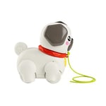 Fisher-Price Minik Dostumla Yürüyüş Sesli ve hareketli Fisher-Price FP Pets Yürüyüş Arkadaşı Köpekçik çekçekli bebek oyuncağı HTW94