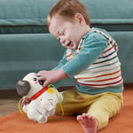 Fisher-Price Minik Dostumla Yürüyüş Sesli ve hareketli Fisher-Price FP Pets Yürüyüş Arkadaşı Köpekçik çekçekli bebek oyuncağı HTW94
