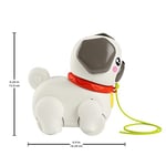Fisher-Price Minik Dostumla Yürüyüş Sesli ve hareketli Fisher-Price FP Pets Yürüyüş Arkadaşı Köpekçik çekçekli bebek oyuncağı HTW94