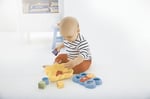 Fisher-Price Şekil Eşleştirme Arkadaşı Kelebek Fisher-Price Şekil Eşleştirme Arkadaşı Kelebek, 6 Bloklu, Şekil Eşleştirme Oyunu CDC22 CDC22