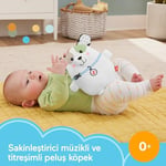 Fisher Price Sevimli Köpekçik Uyku Arkadaşı, yenidoğanlar için pelüş bebek oyuncağı ve taşınabilir ses makinesi, HTJ68 - Seçenekler: Köpekçik, Koala, Su Samuru, Tavşancık