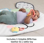 Fisher-Price Yenidoğanlar için karın üstünde oynama oyuncağı, Sevimli Köpekçik Büyük Oyun Minderi ve duyusal gelişim aktiviteleri, HYR51