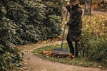 Fiskars Tırmık Başlığı, 25 diş, Fiskars Solid sapıyla birleştirilebilir, Genişlik: 51,1 cm, Plastik dişler, Siyah, L, Solid, 1014915