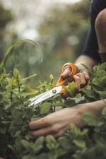 Fiskars üniversal makas, sağ elini kullananlar için, toplam uzunluk: 21 cm, kaliteli çelik/plastik, klasik, 1000815