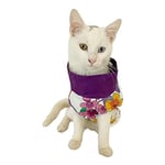 Flower Power Su itici Yağmurluk Kedi Yağmurluğu MOR L