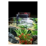 Fluval C2 Clip-On 5 kademeli akvaryum filtresi, dış filtre, 38-115l - Seçenekler: C4, 38-115l, 75-190l