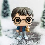 Funko Pop: Harry Potter