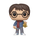 Funko Pop: Harry Potter