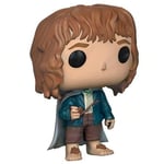 Funko POP LOTR/Hobbit Pippin Took Renkli One Size