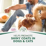 FURminator Banyo Fırçası, Köpek Banyo Fırçası, Evcil Hayvan Saçlarını Gevşetir, Şampuan ve Saç Kremi Dağıtır, Gri